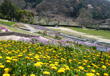 和歌山県植物公園　緑花センター